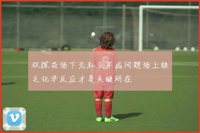 双探花场下无私交不成问题场上缺乏化学反应才是关键所在